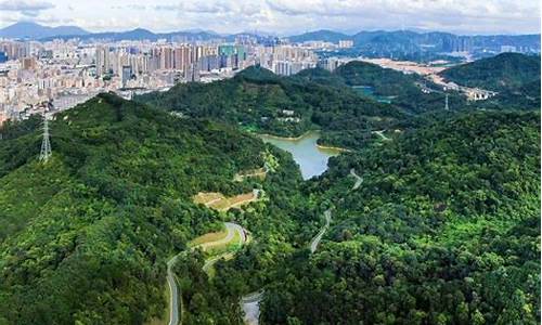 深圳龙华区观澜天气预报_深圳龙华观澜最近一周天气预报情况