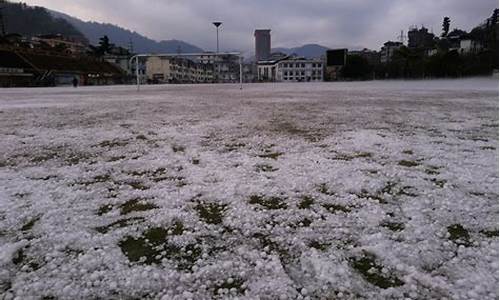 金平县天气预报_金平县天气预报详情