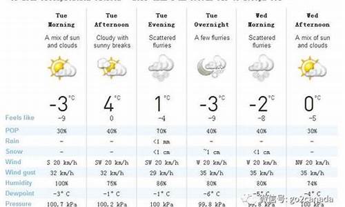 加拿大多伦多天气预报15天_加拿大多伦多天气