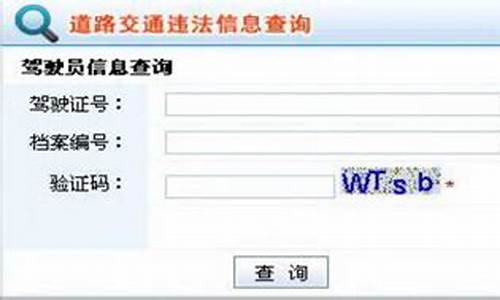 123321交通违章查询_12345交通违章查询