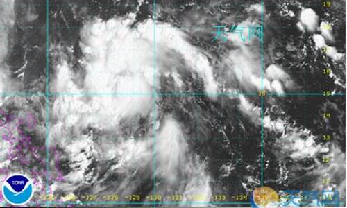 台风14号新消息_台风14号新消息