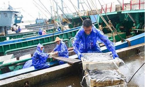 台风预报后渔船纷纷进港避风这属于_台风来临时船舶应该怎么办